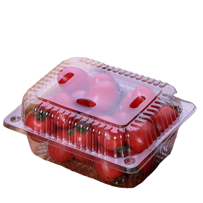 Disposable Fruit Plastic Packaging Box (2)