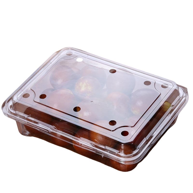 Disposable Fruit Plastic Packaging Box (5)