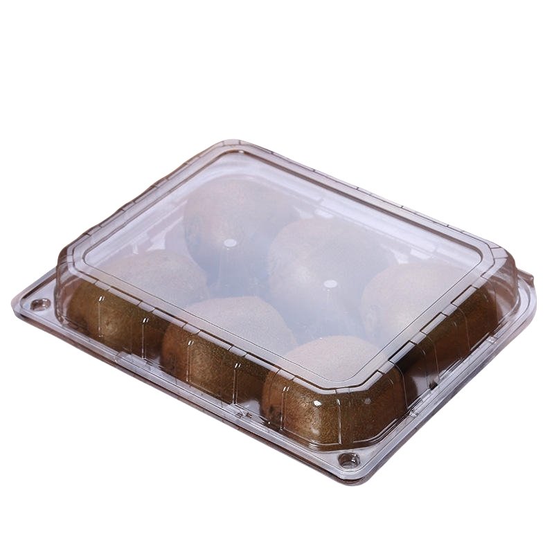 Disposable Fruit Plastic Packaging Box (6)